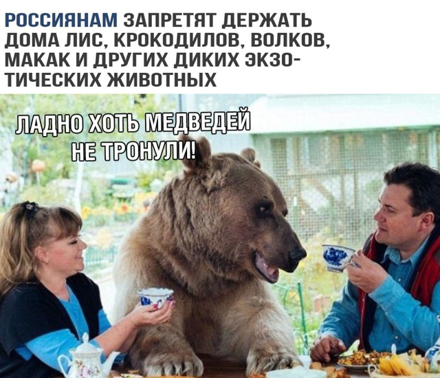 Подборка прикольных фото №2109 (39 фото)