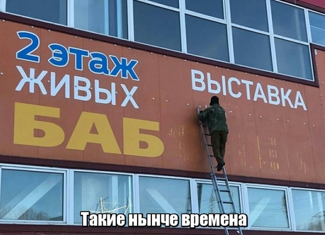 Подборка прикольных фото №2111 (40 фото)