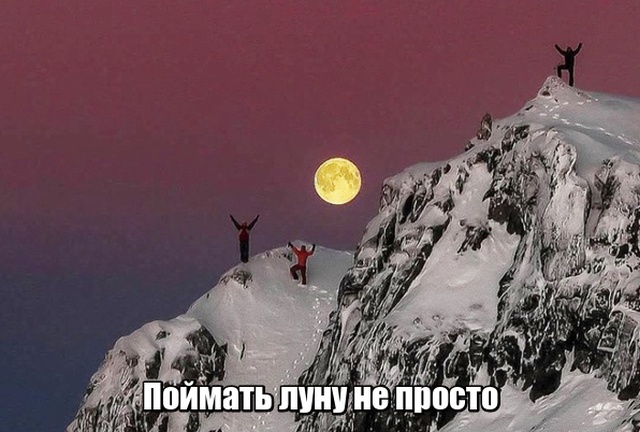 Подборка прикольных фото №2115 (44 фото)