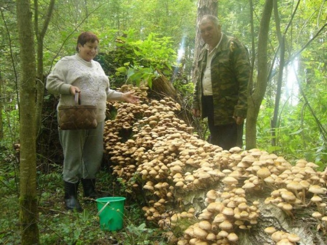 Подборка прикольных фото