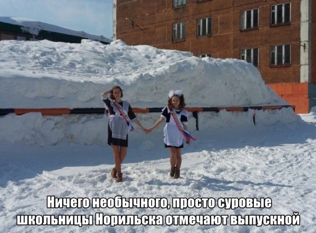Подборка прикольных фото №2126 (53 фото)