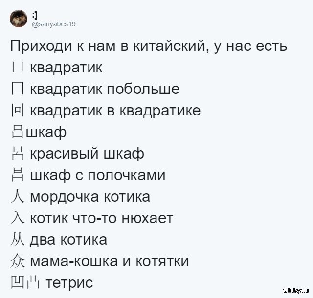 Юмор от филологов (8 скриншотов)