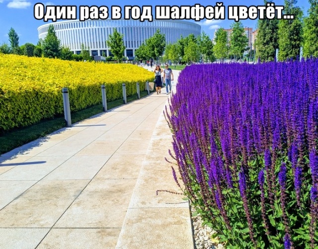 Подборка прикольных фото №2128 (52 фото)