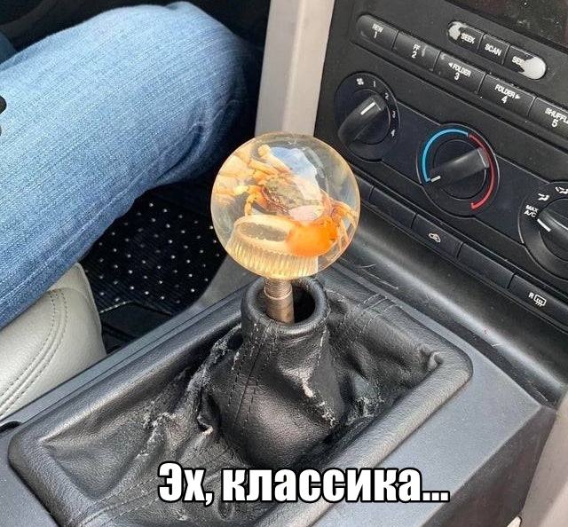 Подборка прикольных фото №2129 (50 фото)