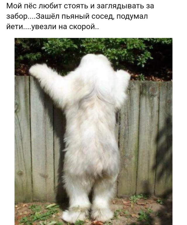 Подборка прикольных фото №2130 (50 фото)