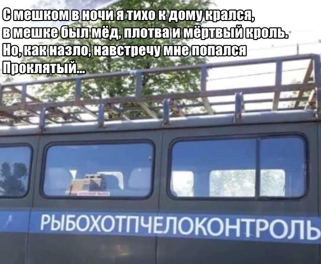Подборка прикольных фото №2134 (60 фото)