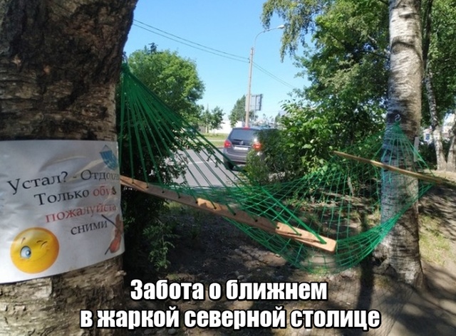 Подборка прикольных фото №2138 (61 фото)