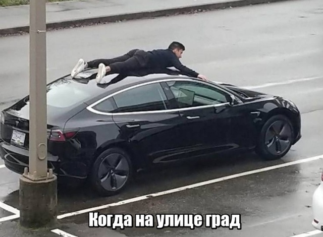 Подборка прикольных фото №2150 (60 фото)
