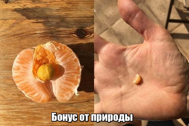Подборка прикольных фото №2145 (63 фото)