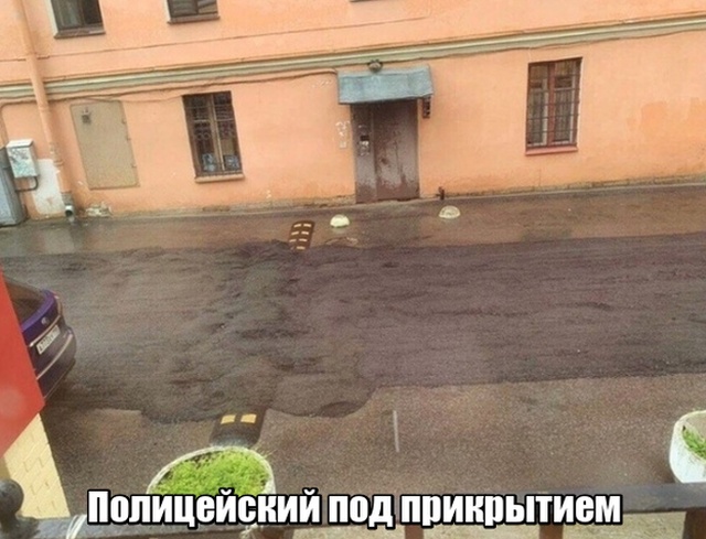 Подборка прикольных фото №2157 (60 фото)