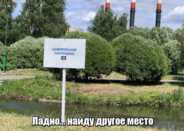Подборка прикольных фото №2155 (63 фото)