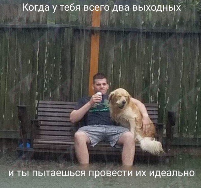 Подборка прикольных фото №2163 (63 фото)