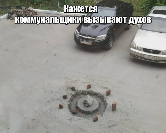 Подборка прикольных фото №2164 (66 фото)