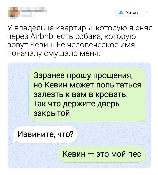 Забавные переписки людей, которых неправильно поняли (20 скриншотов)
