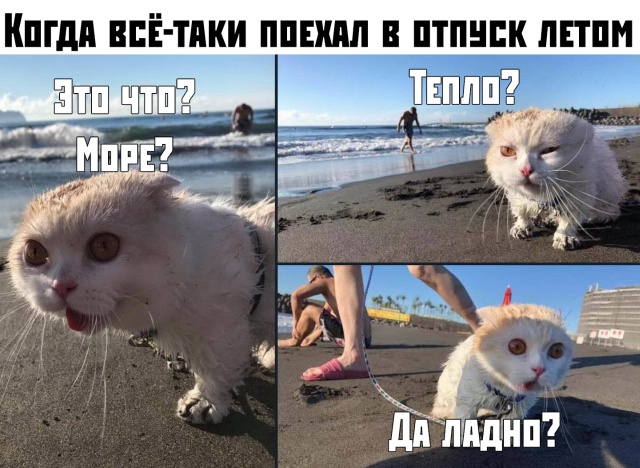 Подборка прикольных фото №2184 (59 фото)