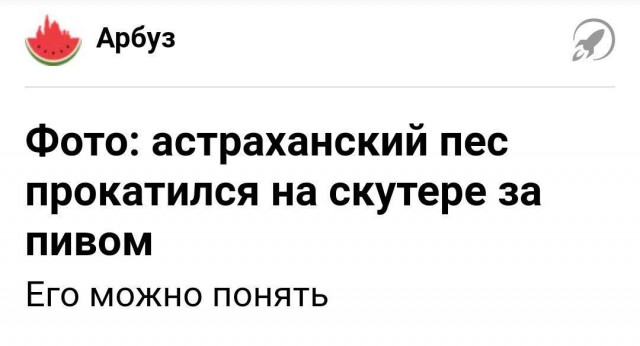 Забавные и странные заголовки, заставят вас улыбнуться (24 фото)