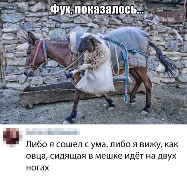 Подборка прикольных фото №2183 (60 фото)