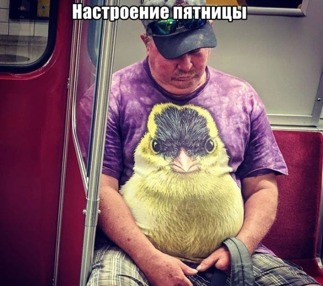 Подборка прикольных фото №2185 (59 фото)