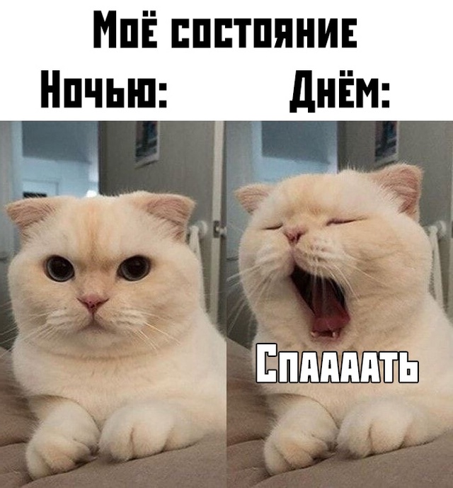 Подборка прикольных фото №2206 (68 фото)