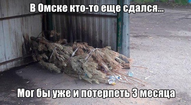 Подборка прикольных фото №2207 (62 фото)