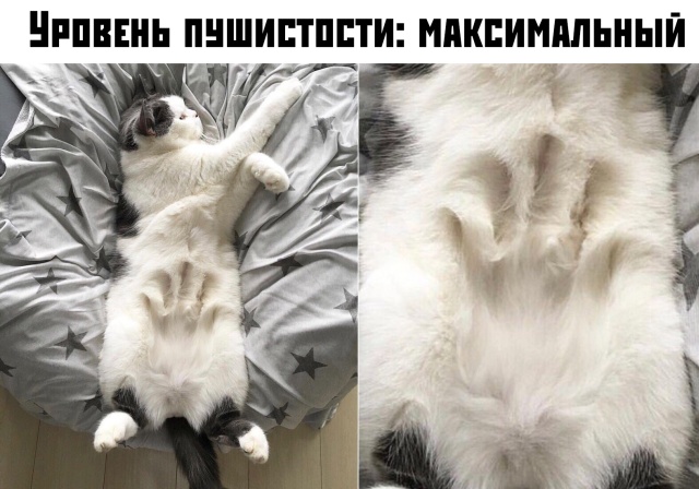 Подборка прикольных фото №2212 (65 фото)