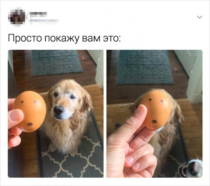 Забавные твиты от людей с нестандартным мышлением (16 фото)