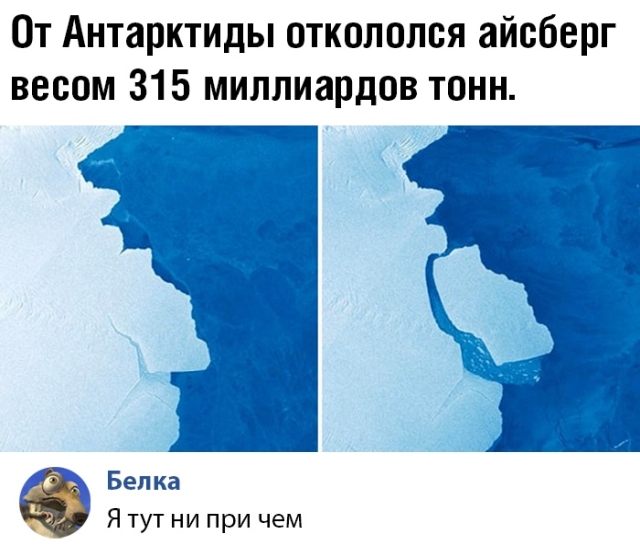 Подборка прикольных фото №2217 (59 фото)