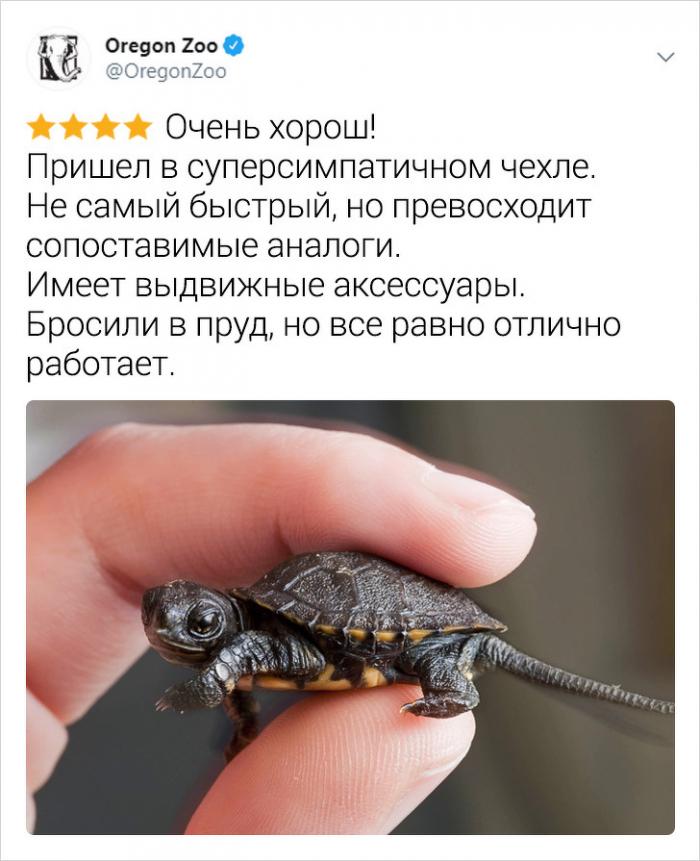 Сотрудники зоопарков описывают своих животных (15 фото)