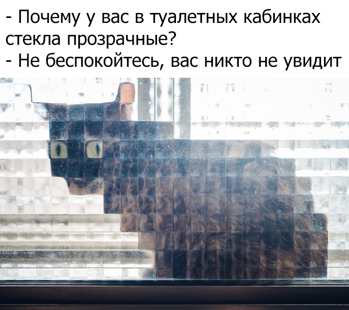 Подборка прикольных фото №2221 (64 фото)