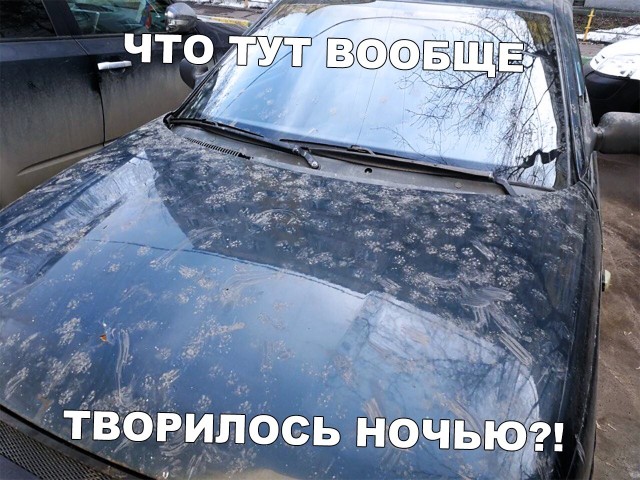 Подборка прикольных фото №2228 (63 фото)
