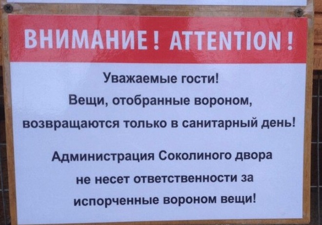 Смешные надписи и объявления, можете увидеть где угодно (13 фото)