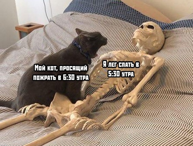 Подборка прикольных фото №2234 (68 фото)