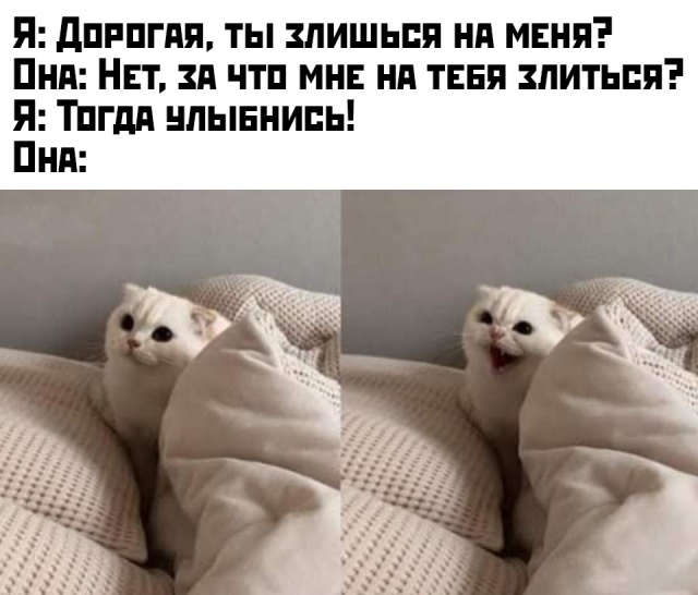 Подборка прикольных фото №2262 (66 фото)