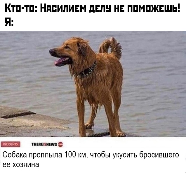 Подборка прикольных фото № 2264 (61 фото)