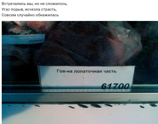 С рифмами по жизни (20 фото)