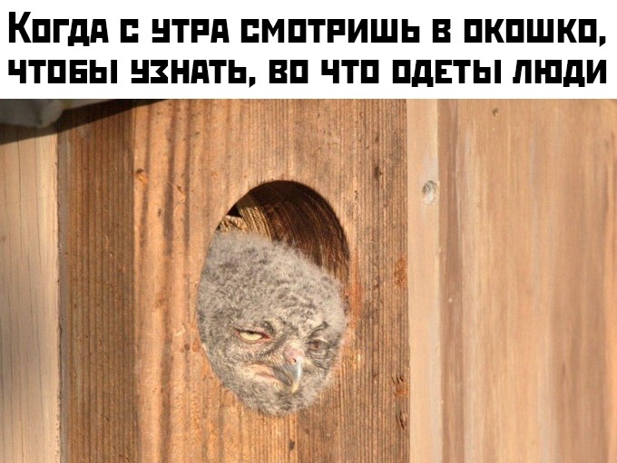 Подборка прикольных фото №2271 (62 фото)