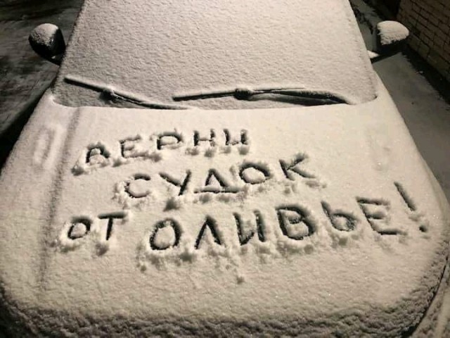 Подборка прикольных фото №2283 (66 фото)