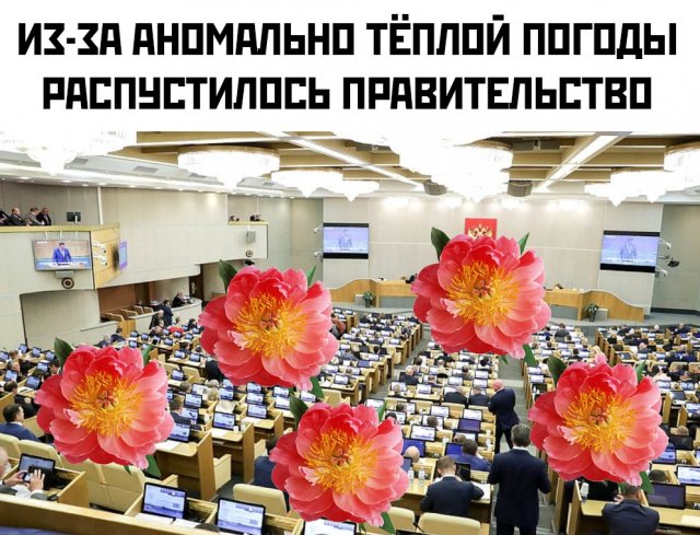 Шутки и мемы про отставку правительства РФ (17 фото)