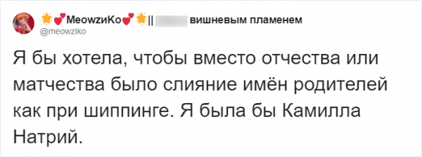 Пользовательница Твиттера придумала, как заменить отчество (6 фото)