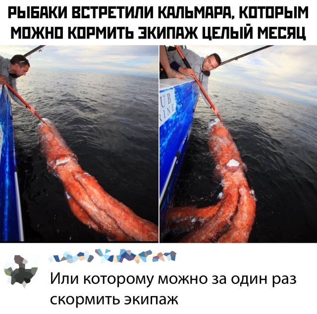 Подборка прикольных фото №2303 (66 фото)
