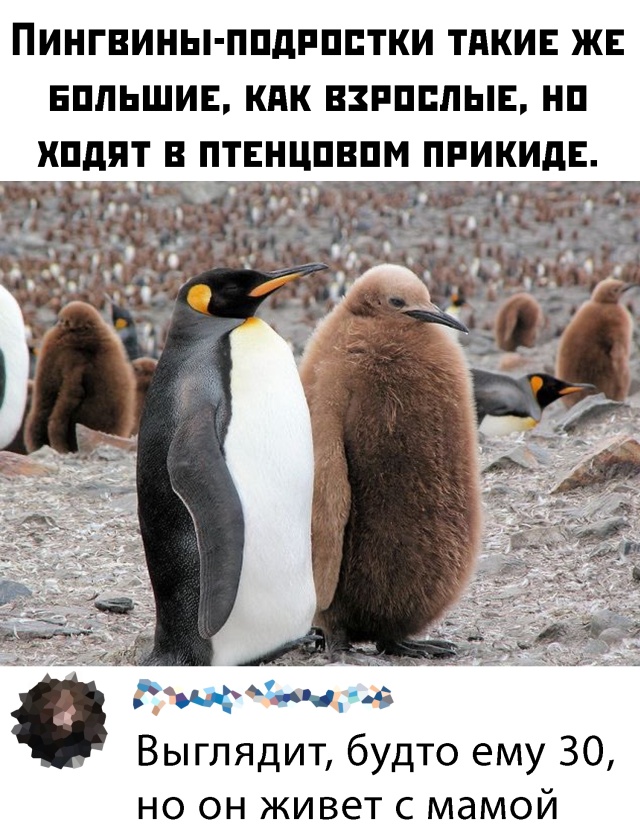 Подборка прикольных фото №2303 (66 фото)