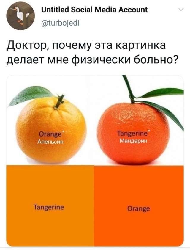 Подборка прикольных фото №2304 (63 фото)