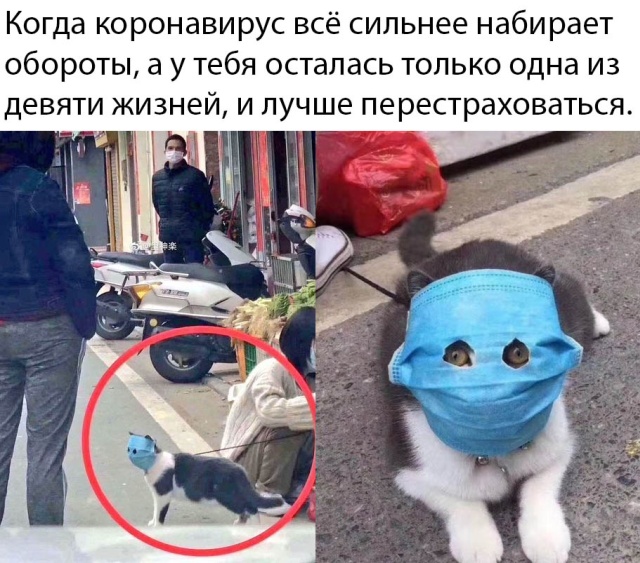 Подборка прикольных фото №2305 (67 фото)