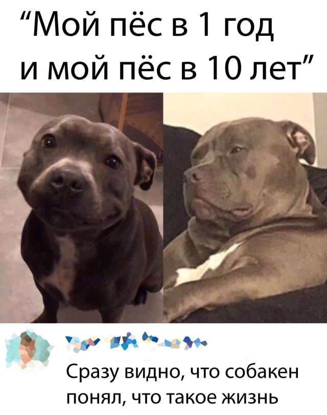 Подборка прикольных фото №2333 (66 фото)