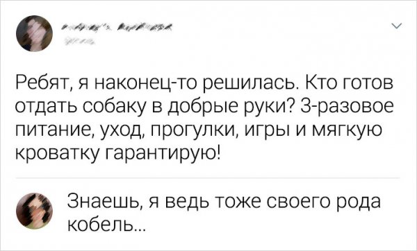 Подборка смешных комментариев из социальных сетей (16 фото)