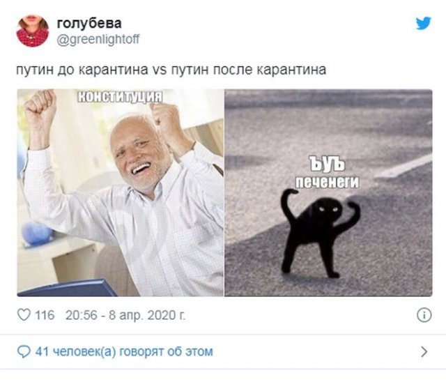 Реакция россиян на речь Путина про печенегов и половцев (17 фото)