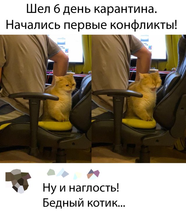 Подборка прикольных фото №2342 (68 фото)