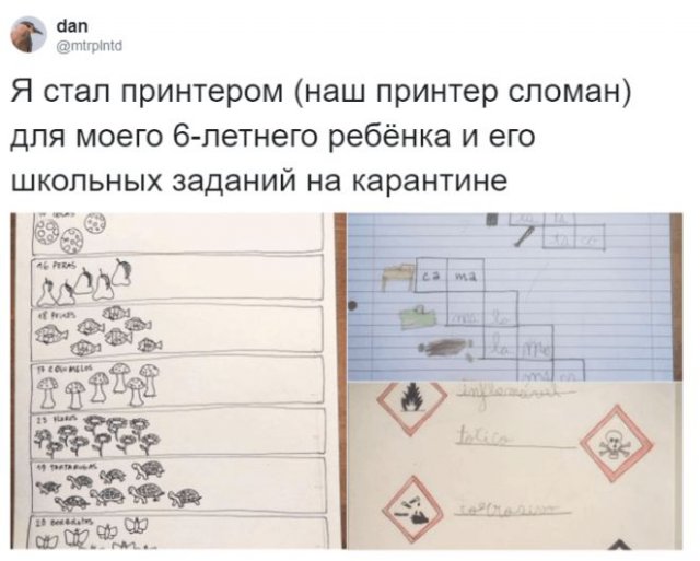 Люди рассказали, чем занимаются на карантине от скуки (15 фото)