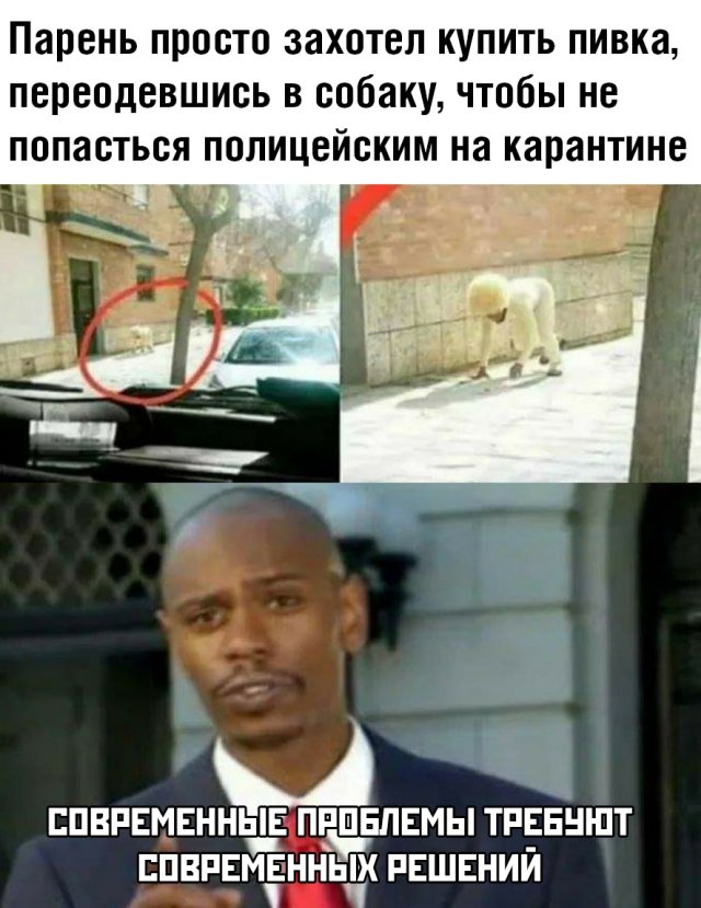 Подборка прикольных фото №2339 (63 фото)