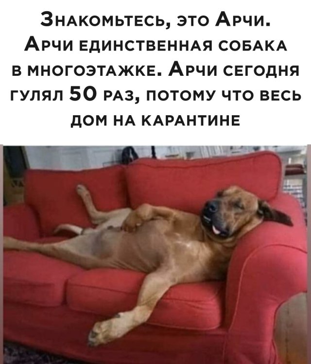 Подборка прикольных фото №2339 (63 фото)